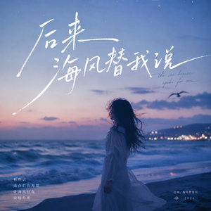 后来海风替我说