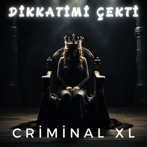 Dikkatimi Çekti