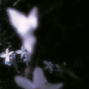 温触 (Just Play Me Like a Fool)