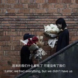 流浪-降调版0.8×