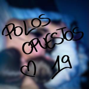 Polos Opuestos