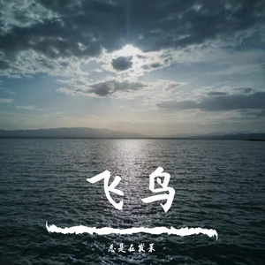 飞鸟（Prod by Lv9）