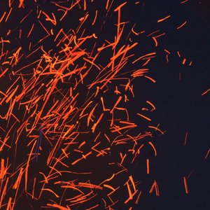 Fire Flies