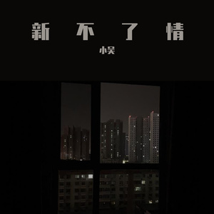 新不了情