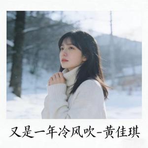 又是一年冷风吹 (烟嗓版)