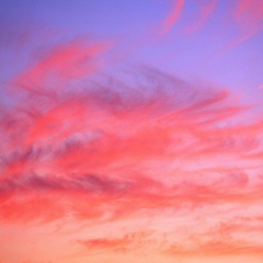 月明时分人憔悴