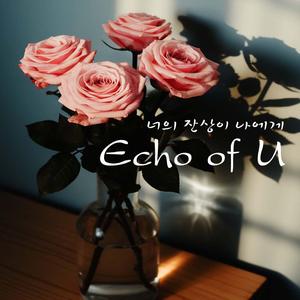Echo of U