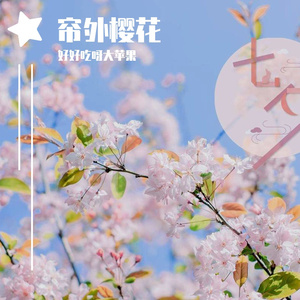帘外樱花