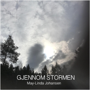 Gjennom Stormen