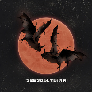 Звёзды, ты и я