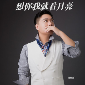 想你我就看月亮-崔伟立版