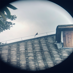 小時候的夢（prod.by 森澈 Sen）