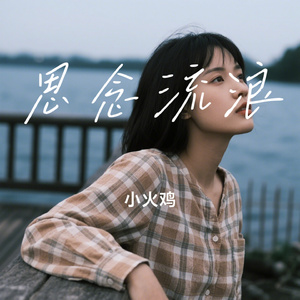 思念流浪