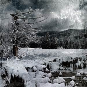 Towards The Lonely Path Of Winter