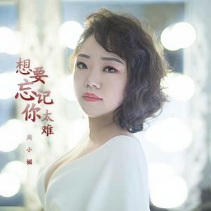 想要忘记你太难