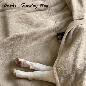 Sunday Nap