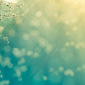 The Land of Three Moons (Original Mix)