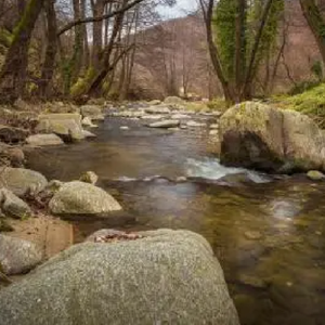 小提琴-世界之水皆相通-yyh