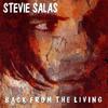 Stevie Salas - The Walls Came Down (Live)