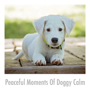 Profound Pet Soothing Stress Buster