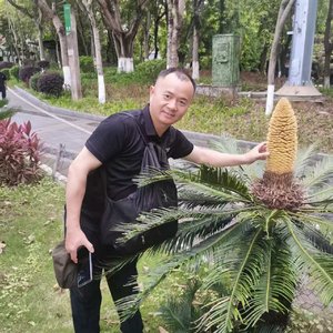 青春诗行