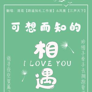 《可想而知的相遇》