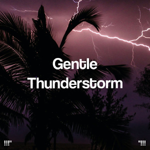 호우 잠