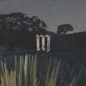 cRAsHOutS (feat. DAVID, Muñeca, char, NEWWAVE, Goon & cold rick)