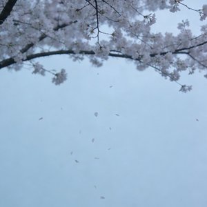 さよならの向こう（再见的彼方）