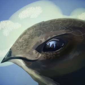 Чужие-Стрижи