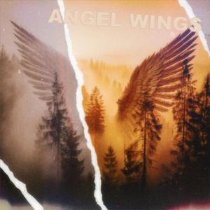 Angel Wings