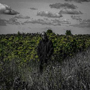 Умный дурак