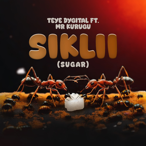 Sikli (Sugar)