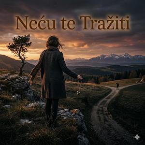 Necu te Traziti (Radio Edit)