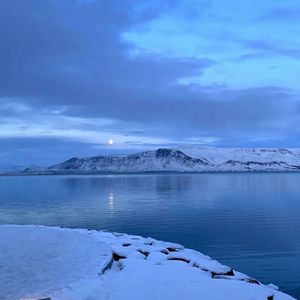 没有你,世界没尽头