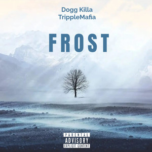 Frost