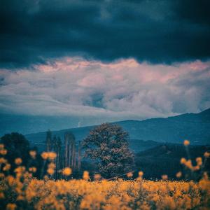 Cinematic Piano and Dramatic Ending