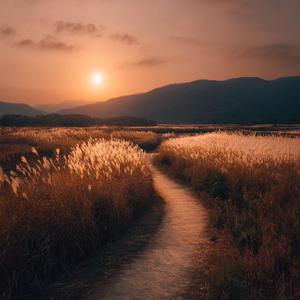 바람의 이름으로