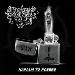 **** All Tribute Bands