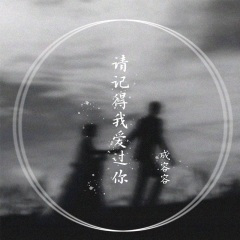 请记得我爱过你 (DJ可乐版)