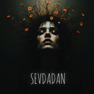 Sevdadan