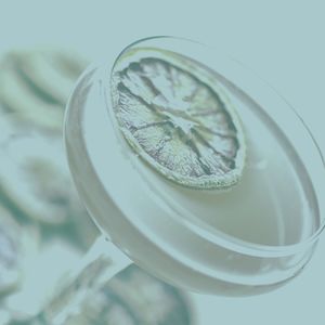 柔和的晚上时刻