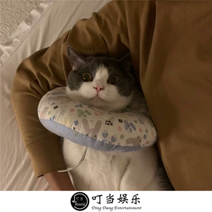 我找不到我到不了(抖音版)