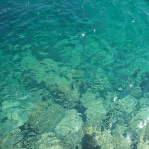 雨はあの日を思い出す合図なのだから