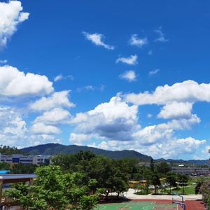 歌创班的夏天-丸子佳jia