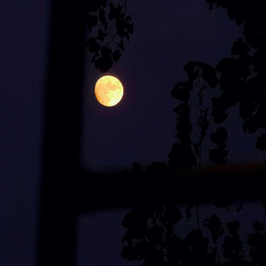 20220122_9002557.wav