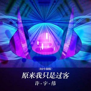 原来我只是过客 (DJ小桐版)