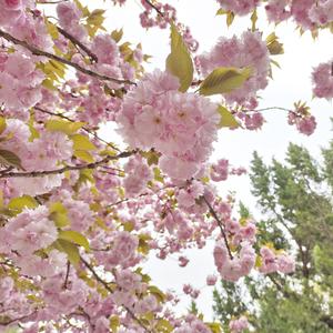 《远方，过往》