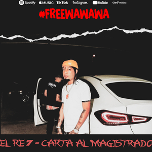 #FREEWAWAWA (Carta al magistrado)