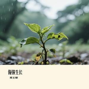 倔强生长